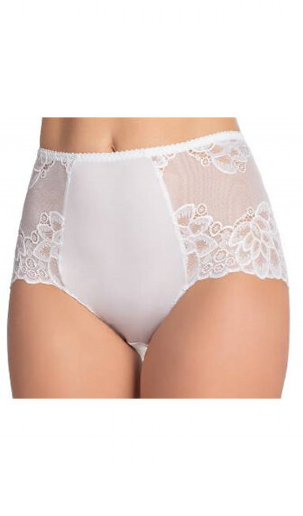 CATHARINA Briefs